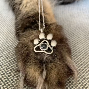 Collar Personalizado Con Imagen